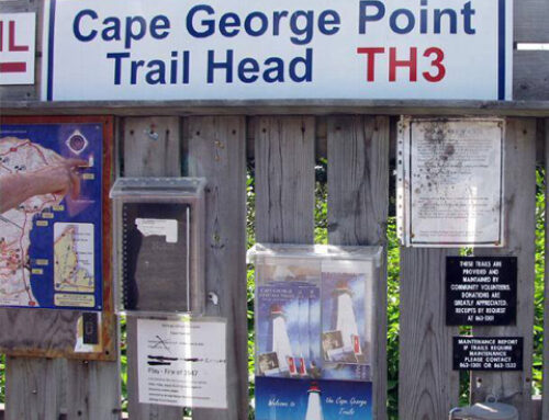 Cape George Trail