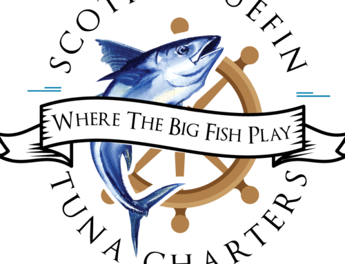 Scotia Tuna Charters