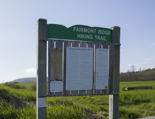 Fairmont Ridge Trail