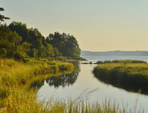 Antigonish Landing Trail