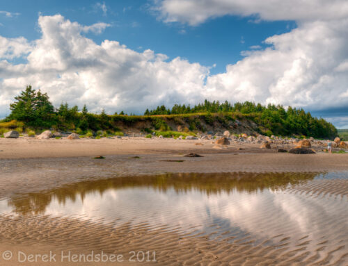 New Harbour Beach