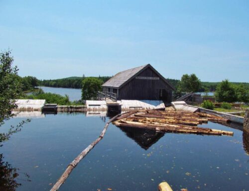 Sawmill Museum